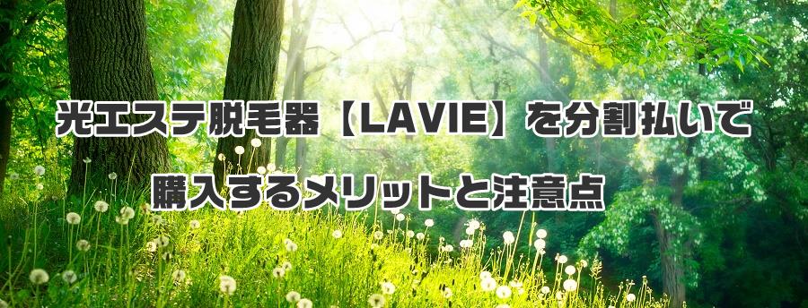 光エステ脱毛器【LAVIE】を分割払いで購入するメリットと注意点
